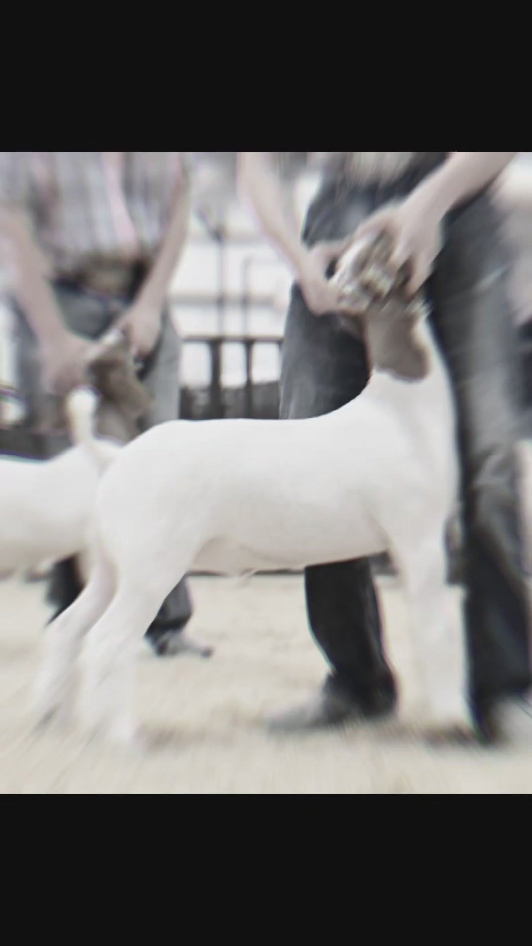 Load video: 