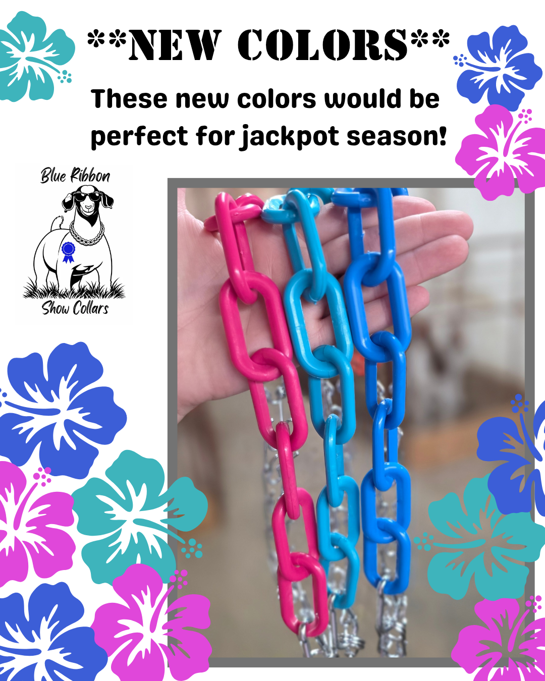 Plastic Collar Only (no chain)