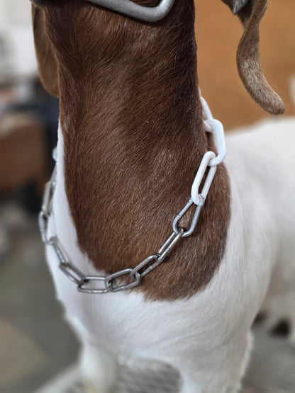 Collar with standard link chain
